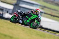 PJ-Motorsport-2019;anglesey-no-limits-trackday;anglesey-photographs;anglesey-trackday-photographs;enduro-digital-images;event-digital-images;eventdigitalimages;no-limits-trackdays;peter-wileman-photography;racing-digital-images;trac-mon;trackday-digital-images;trackday-photos;ty-croes